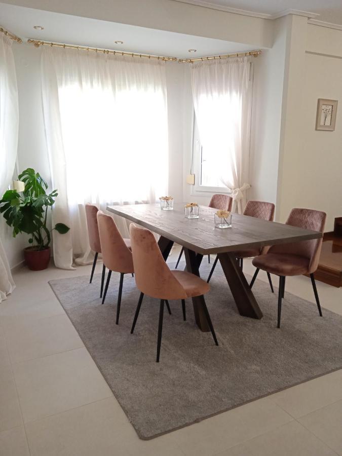 Magnolia House In Ioannina公寓 外观 照片